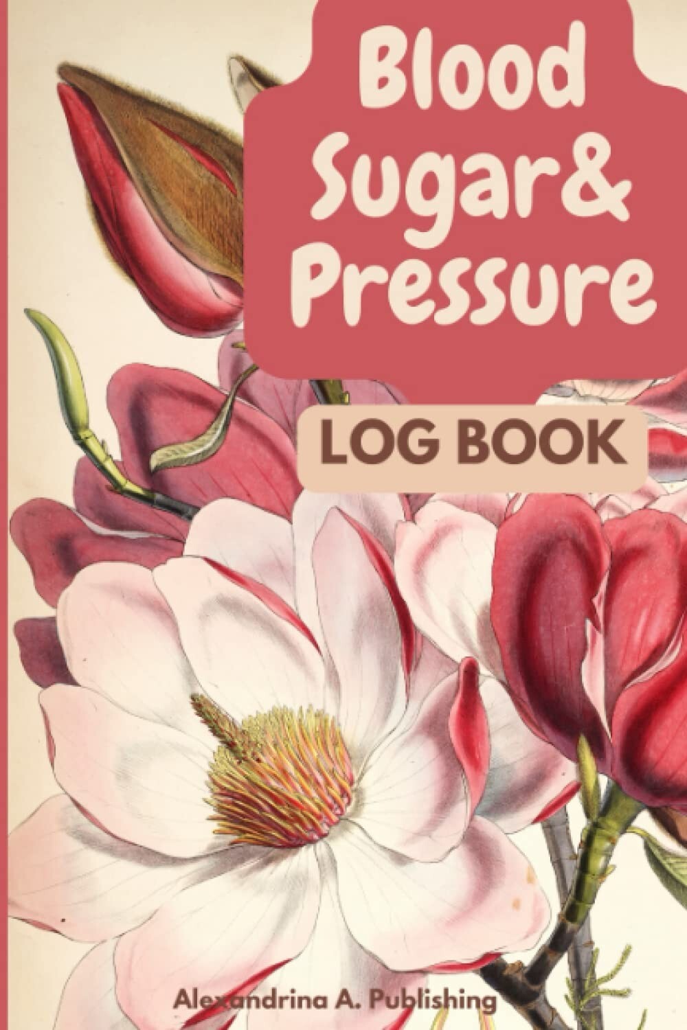 Blood Sugar & Pressure Log Book 2 Years Glucose and Blood Pressure Record Boo…