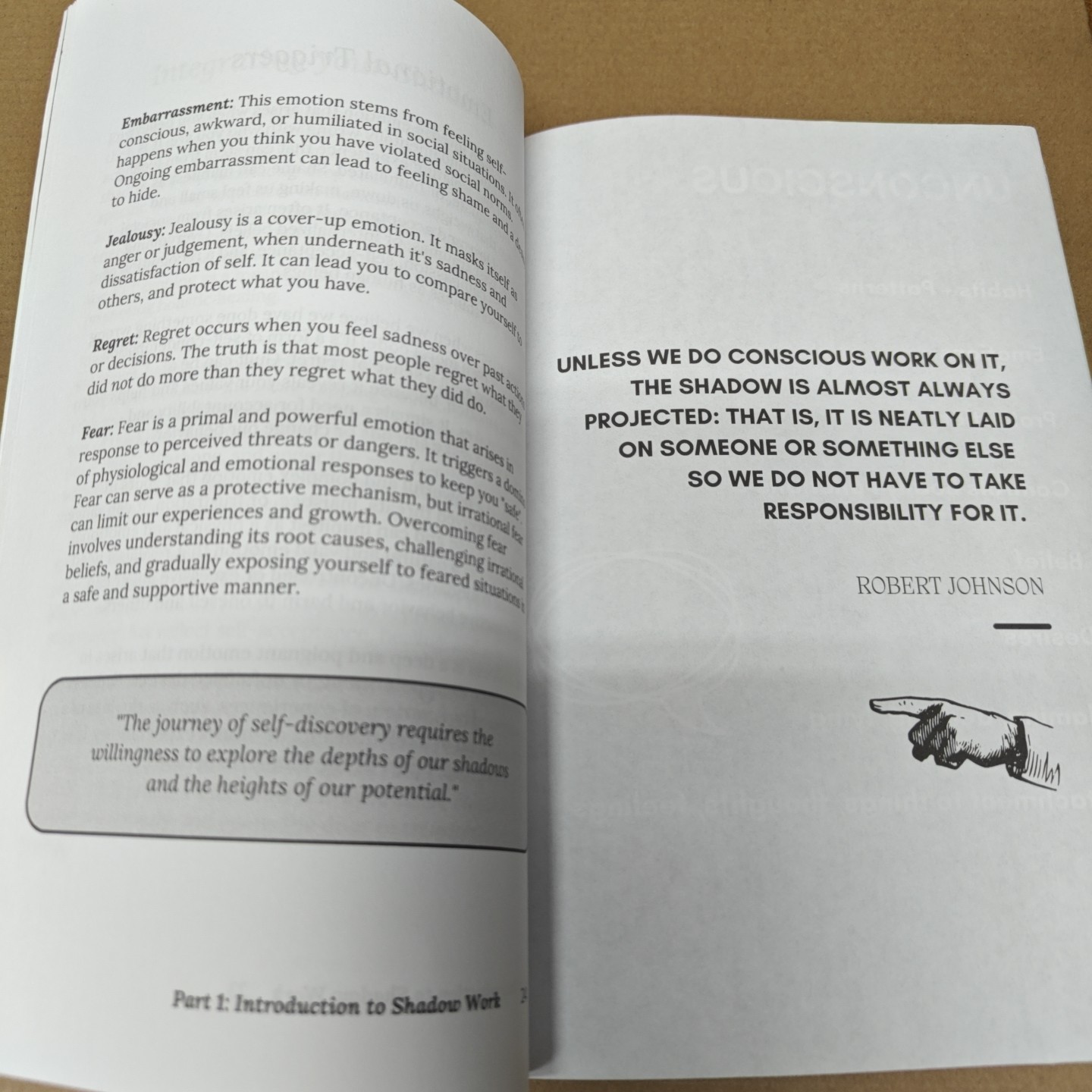 The Shadow Work Journal A Guide to Integrate and Transcend your Shadows (7-1)