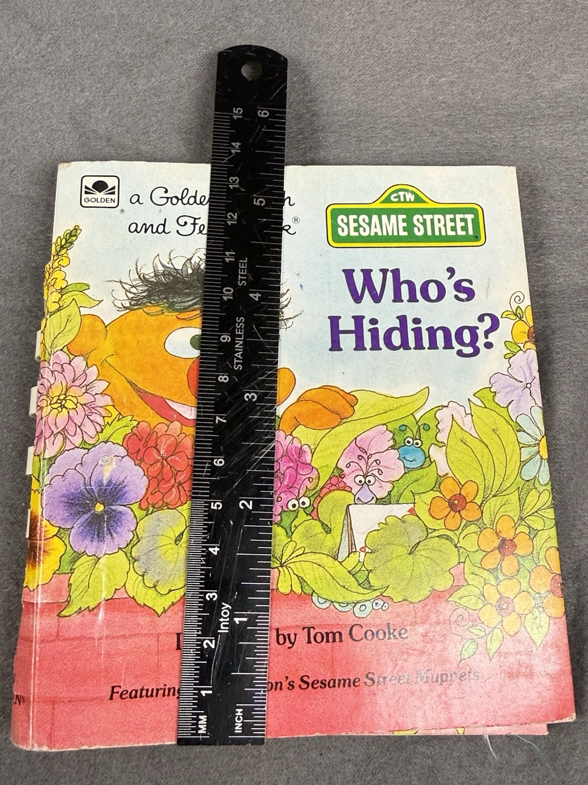 Vintage 1986 Sesame Street Who’s Hiding Golden Touch Feel Book