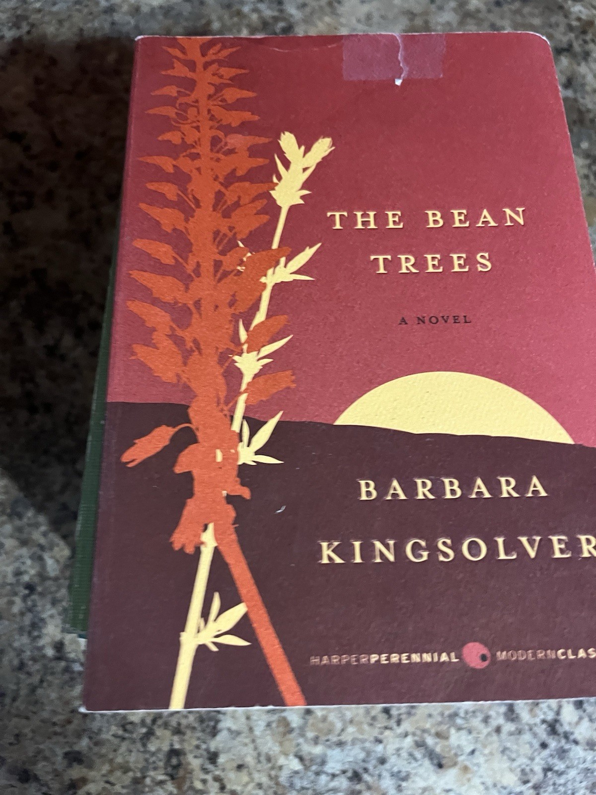 Barbara Kingsolver 7 Book Lot Animal Vegetable Miracle Poisonwood Bible Bean