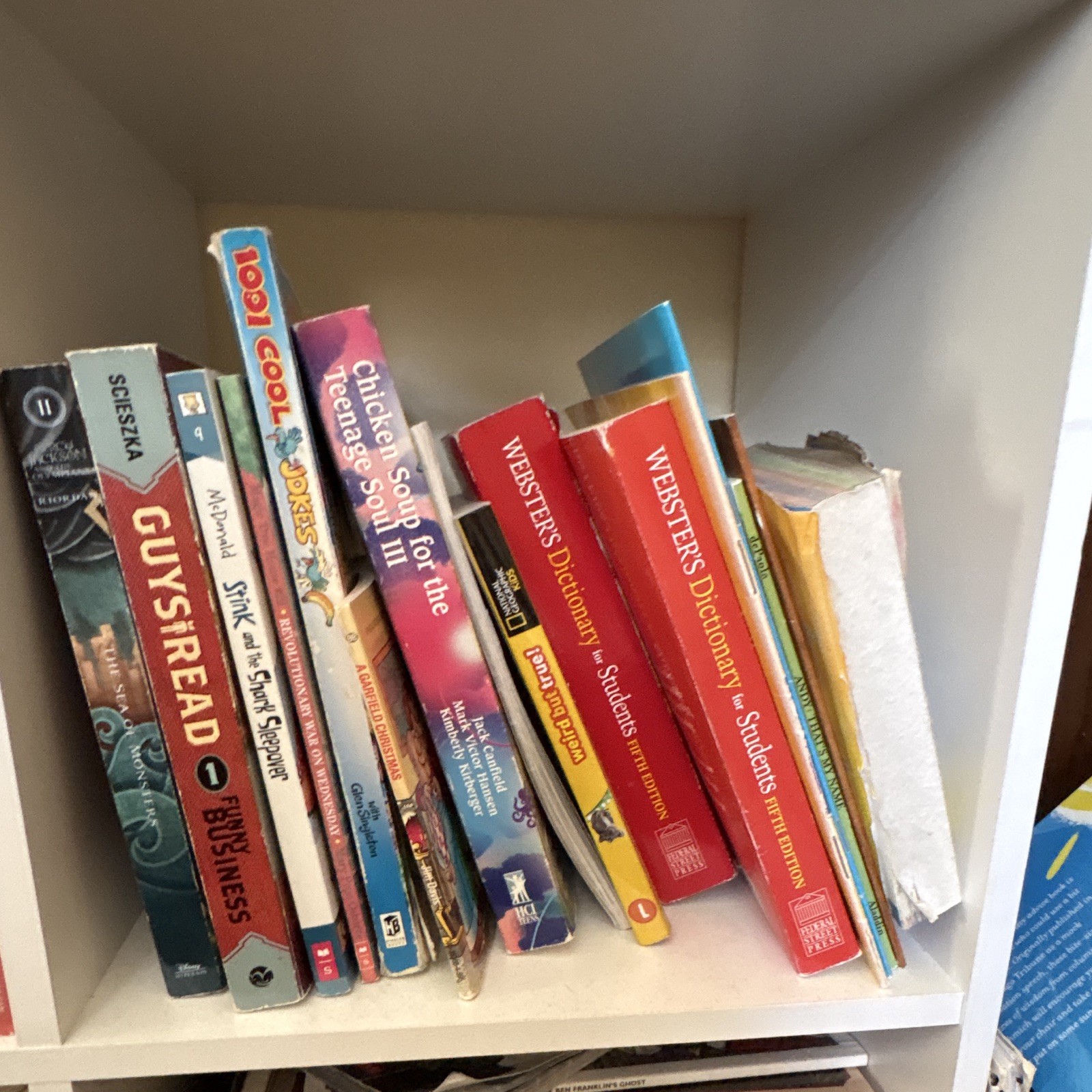 RANDOM BOOK LOT (see description)