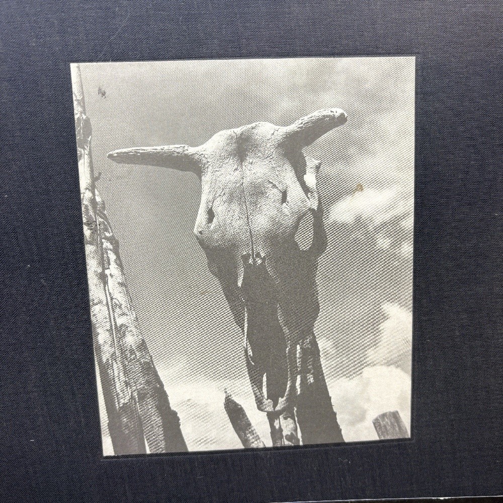 Georgia O’Keeffe: The Artist’s Landscape
