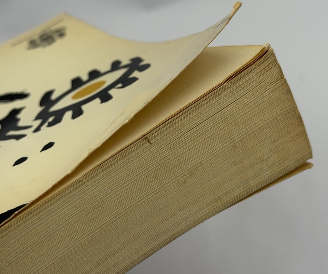 The Golden Notebook ~ Doris Lessing ~ 1963 1st McGraw Hill PB VINTAGE