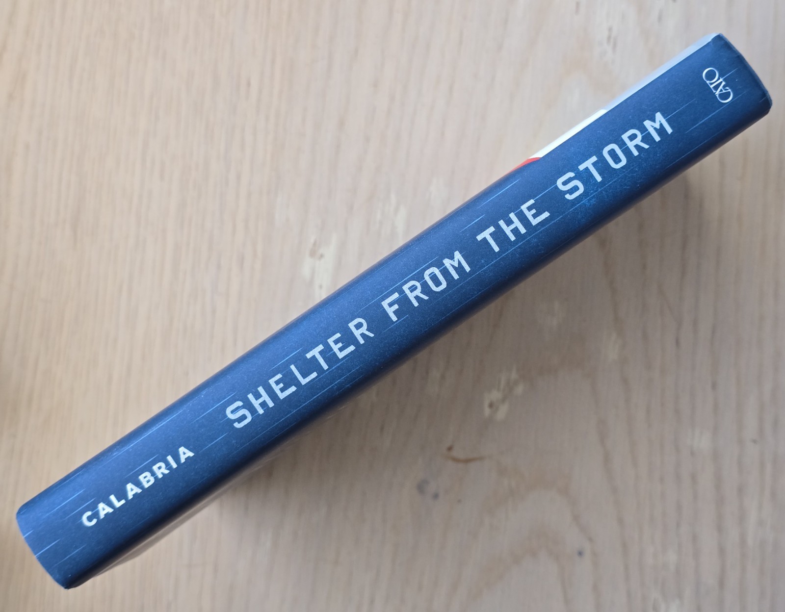 Mark Calabria Shelter from the Storm (Hardback)