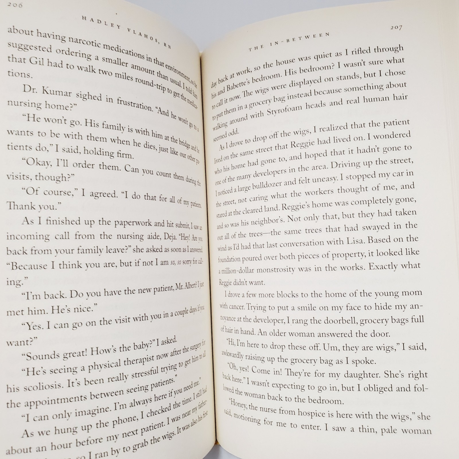 The In-Between Book Encounters During Life’s Final Moments Hadley Vlahos HC