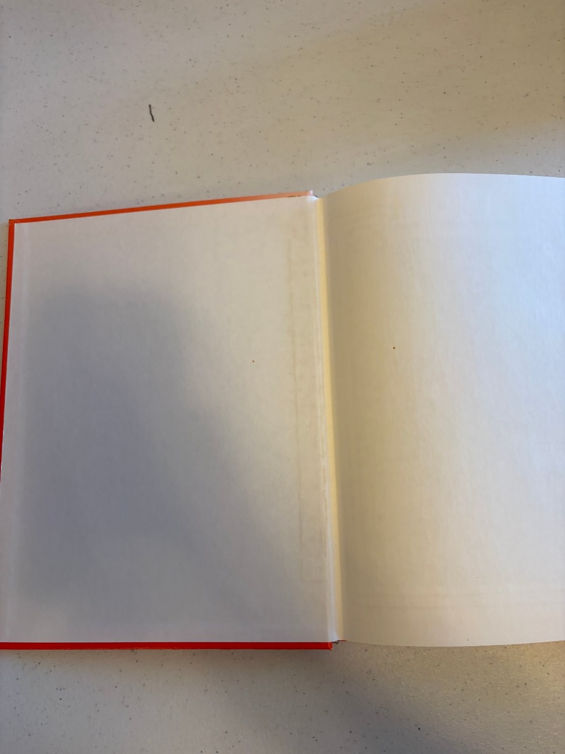 Mountain Ash 1981 Walla Walla College Yearbook Annual