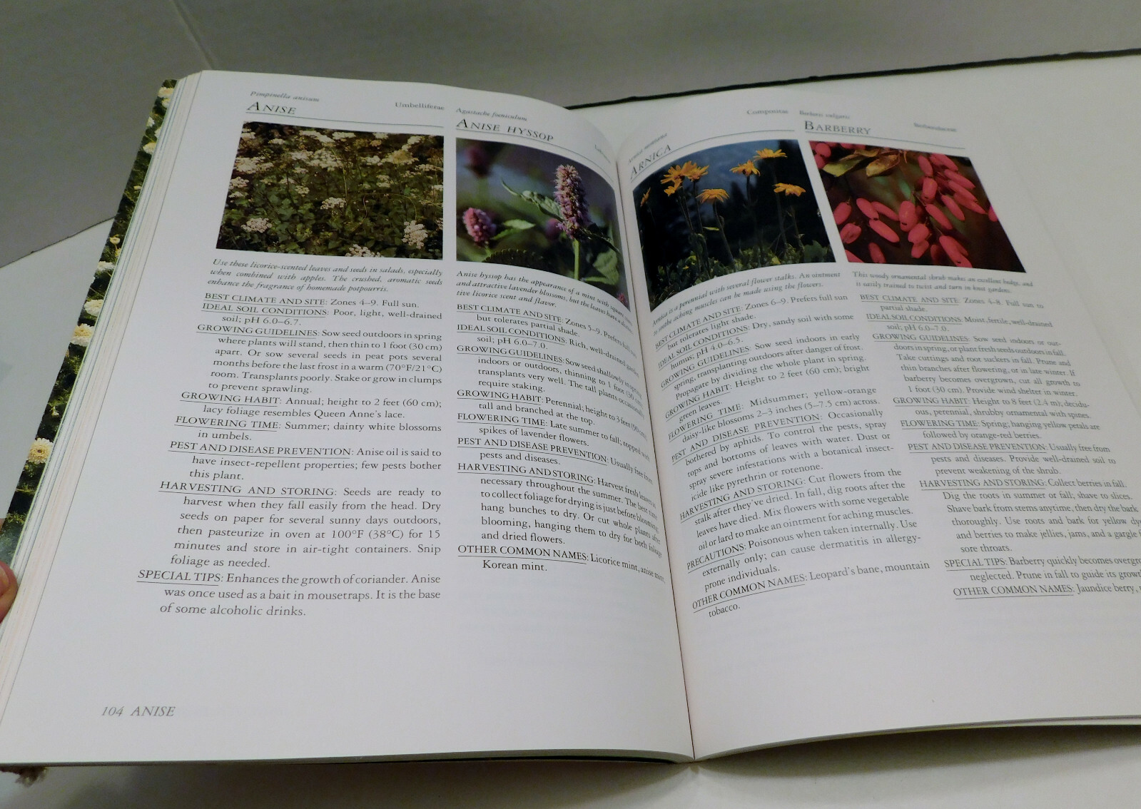 Rodale’s Successful Organic Gardening: Herbs 300 color photos 50 illustratration