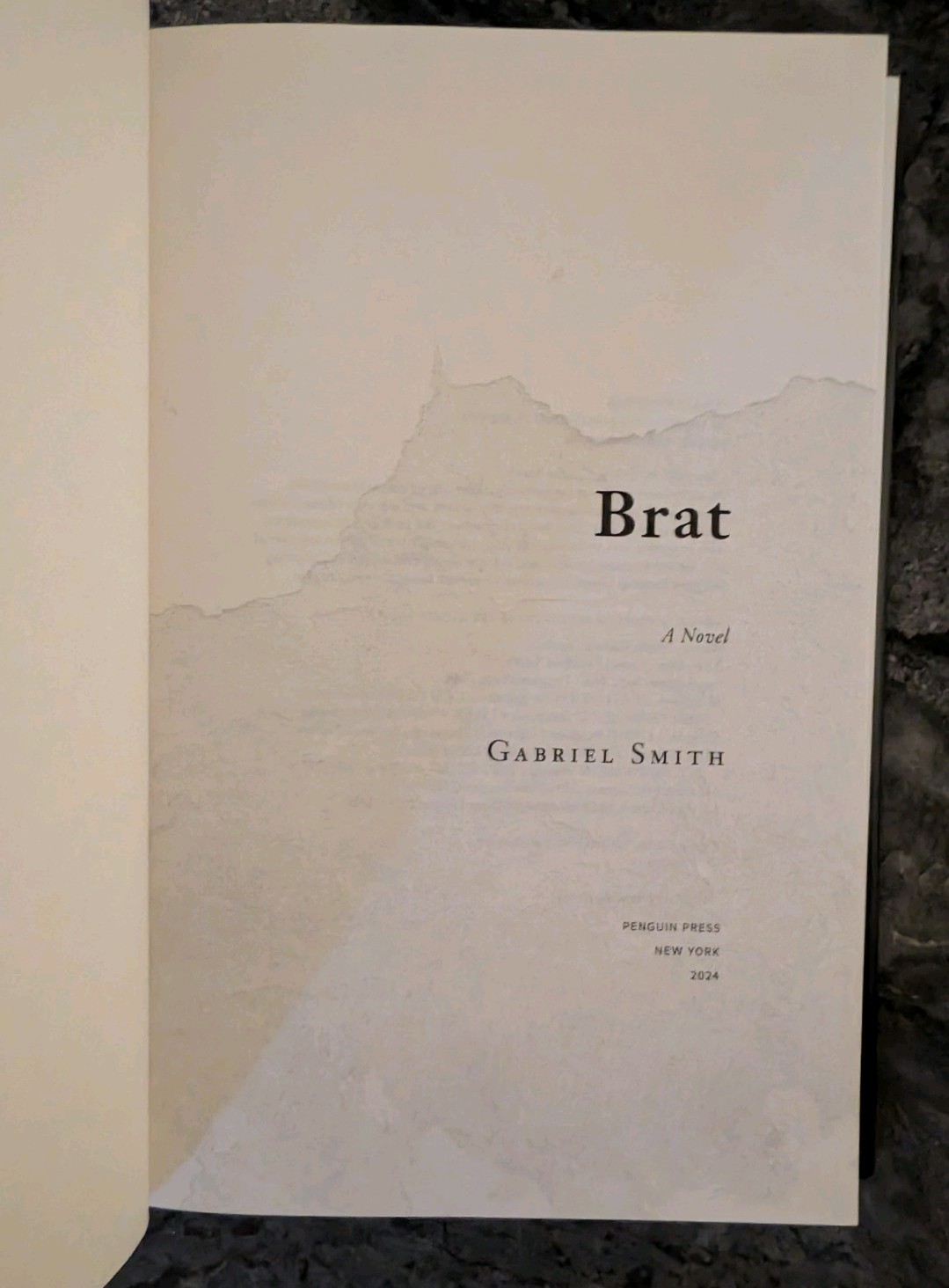 Brat a Novel by Gabriel Smith (2024, Hardcover) Very Good Condition