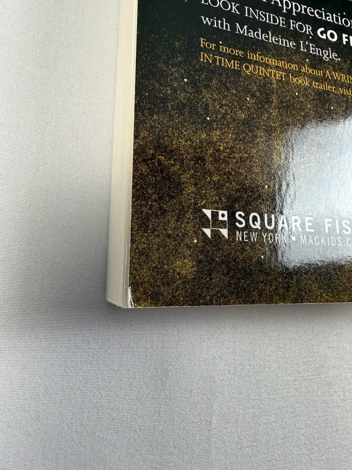 Madeleine L’Engle A Wrinkle in Time Quintet Ser. Perfect Square Fish 2007