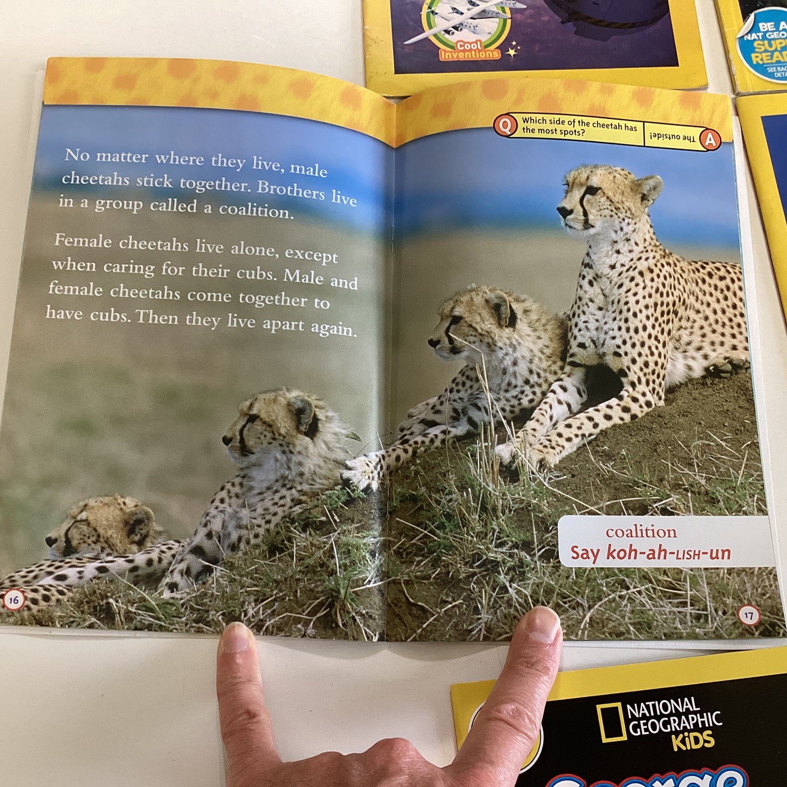 National Geographic Level 2 Science Readers 1st 2nd 3rd Grade 12 Book Lot