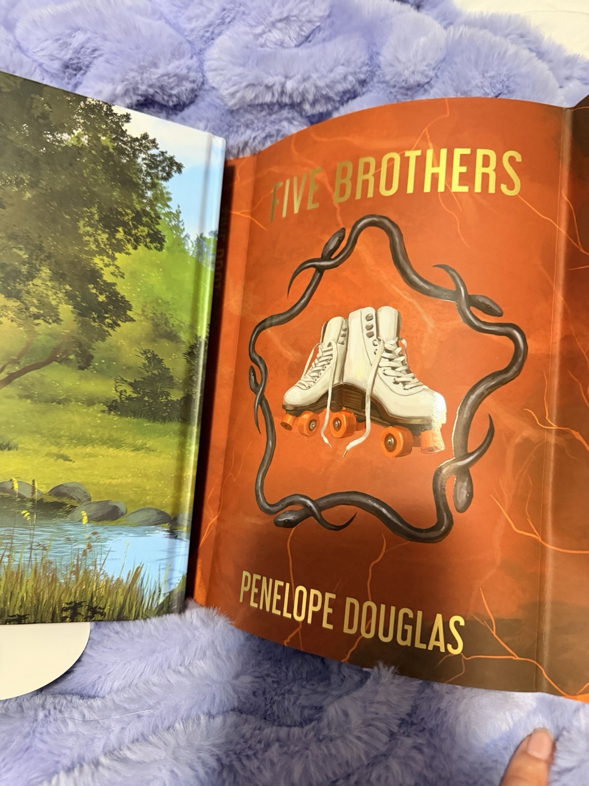 Five Brothers by Penelope Douglas Special Edition Books For Days Crate