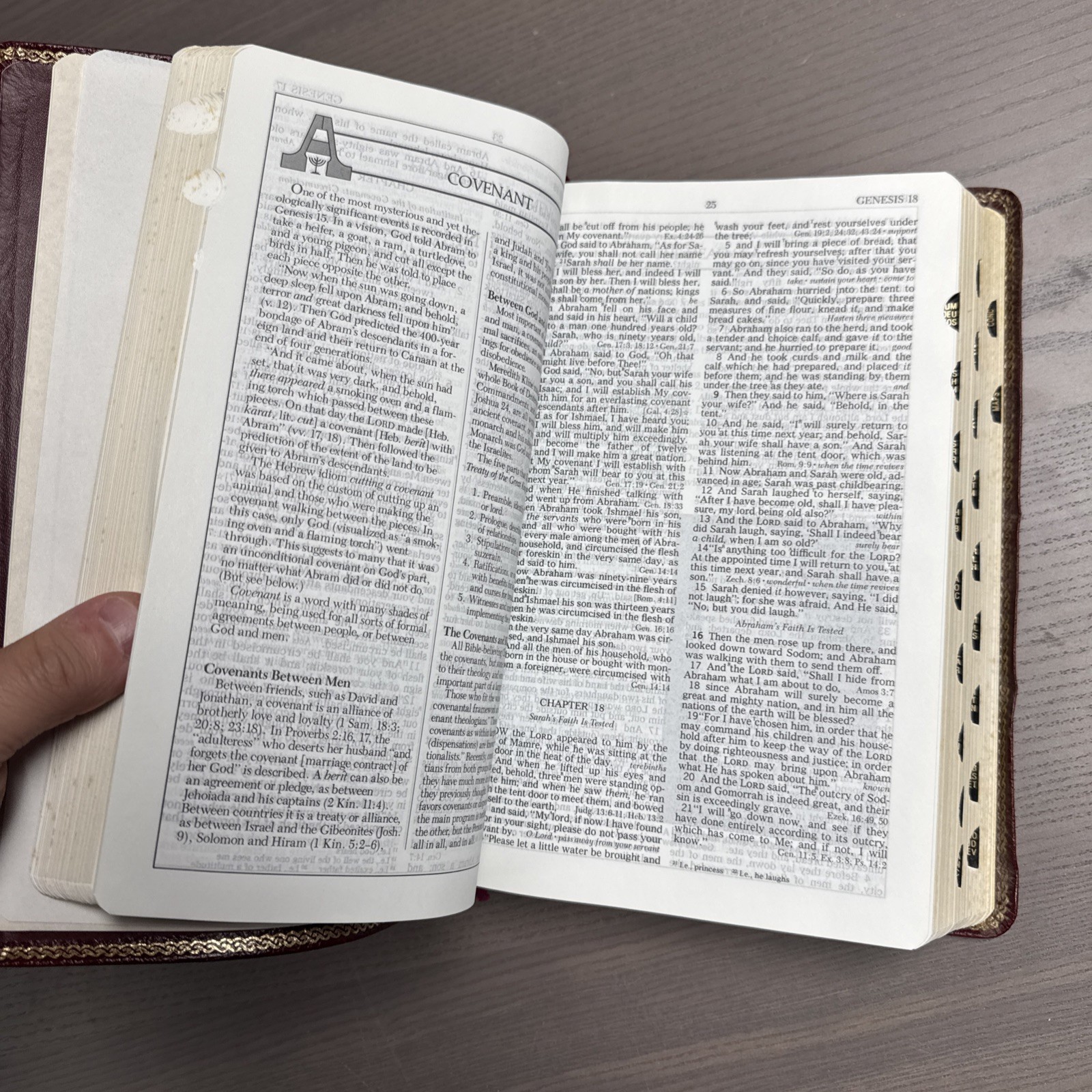 The New Open Bible NAS Study Edition Genuine Leather Burgundy 1976BG