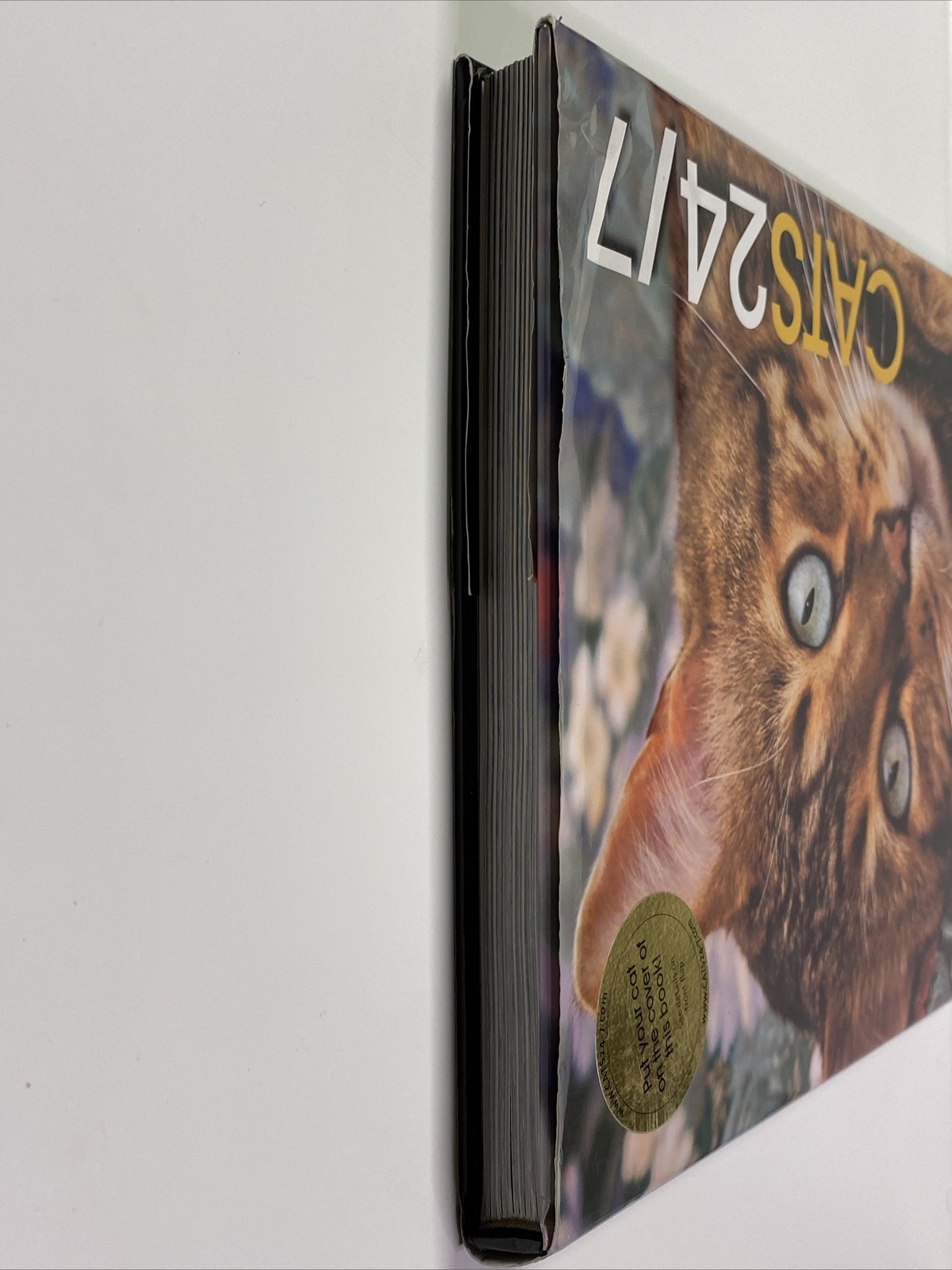 Cats 24/7 Extraordinary Photographs Of Wonderful Cats 2005 Hardcover 190 Pages