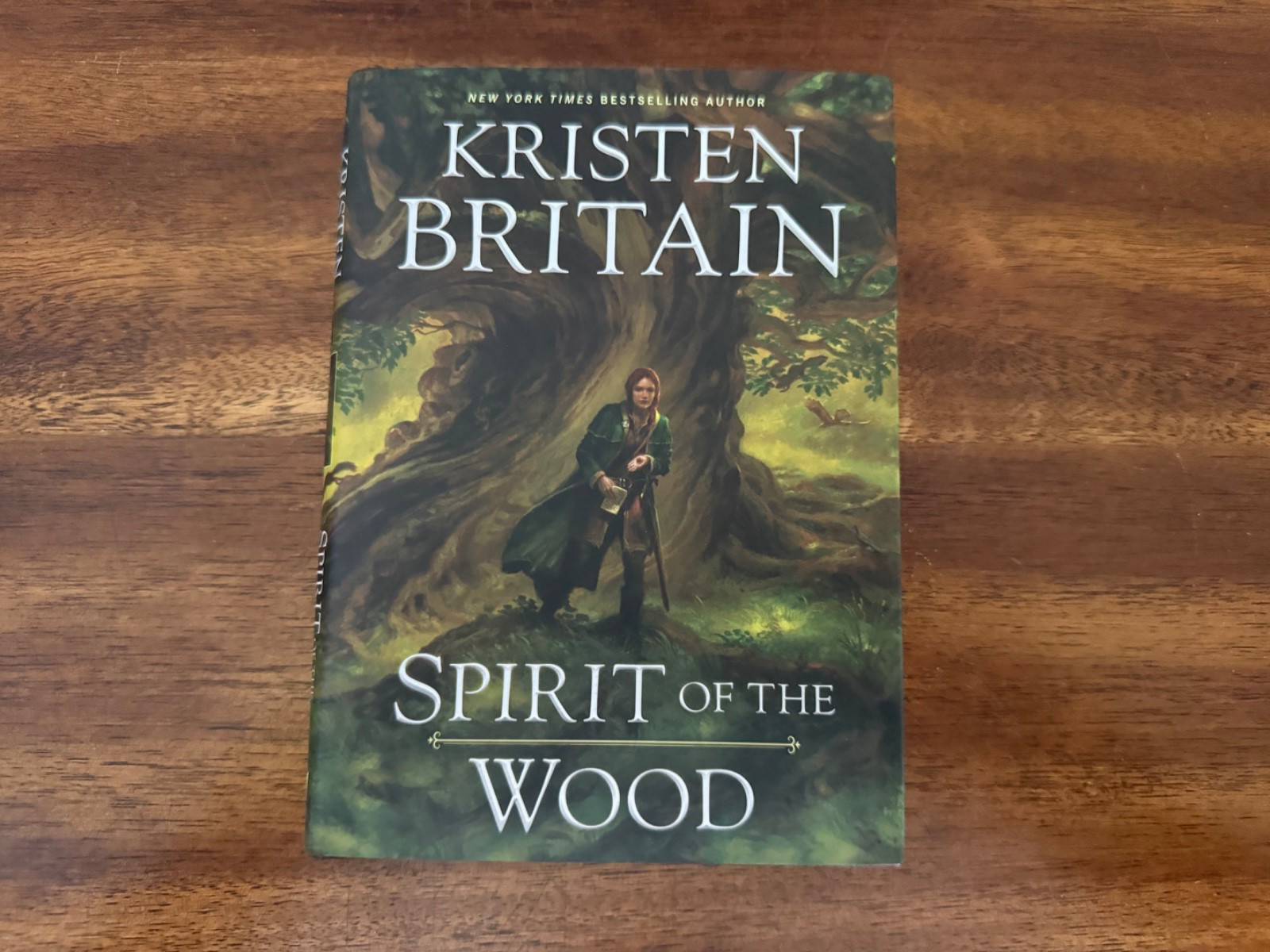 Spirit of the Wood by Kristen Britain (2023, Hardcover) FREE SHIPPING