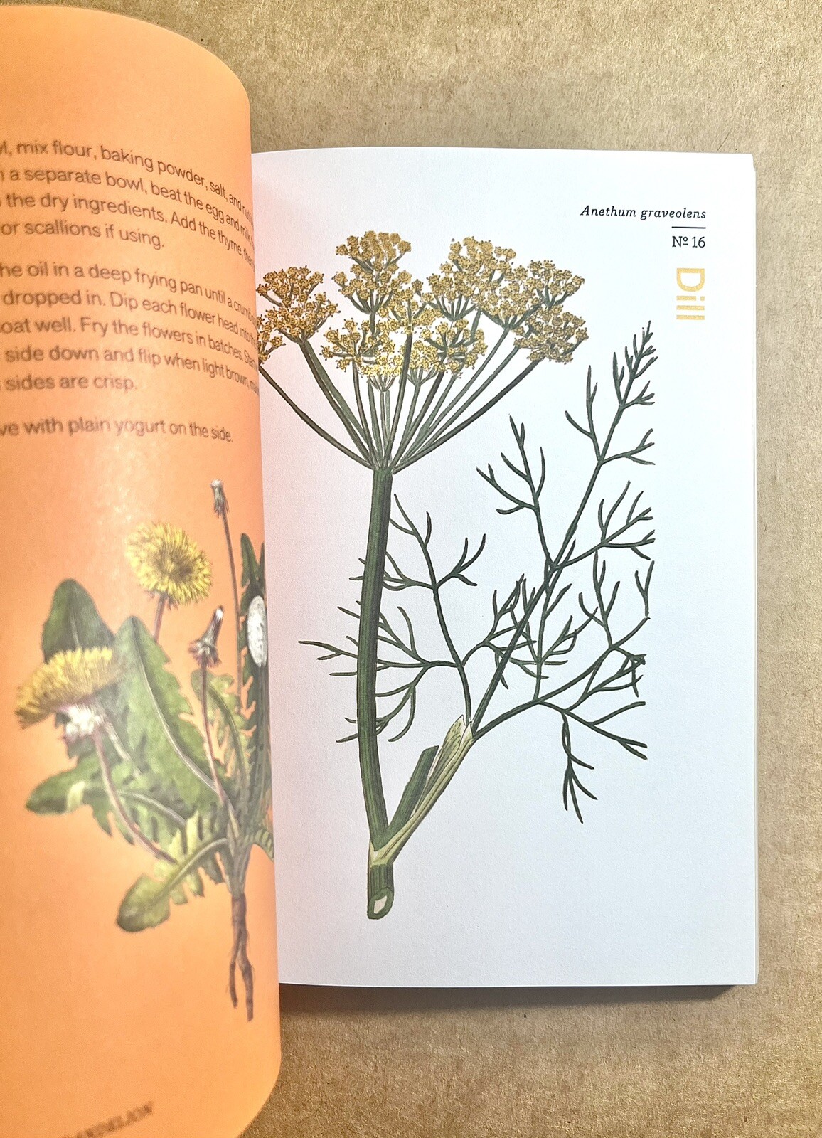 Herbal Handbook : 51 Profiles in Words and Art
