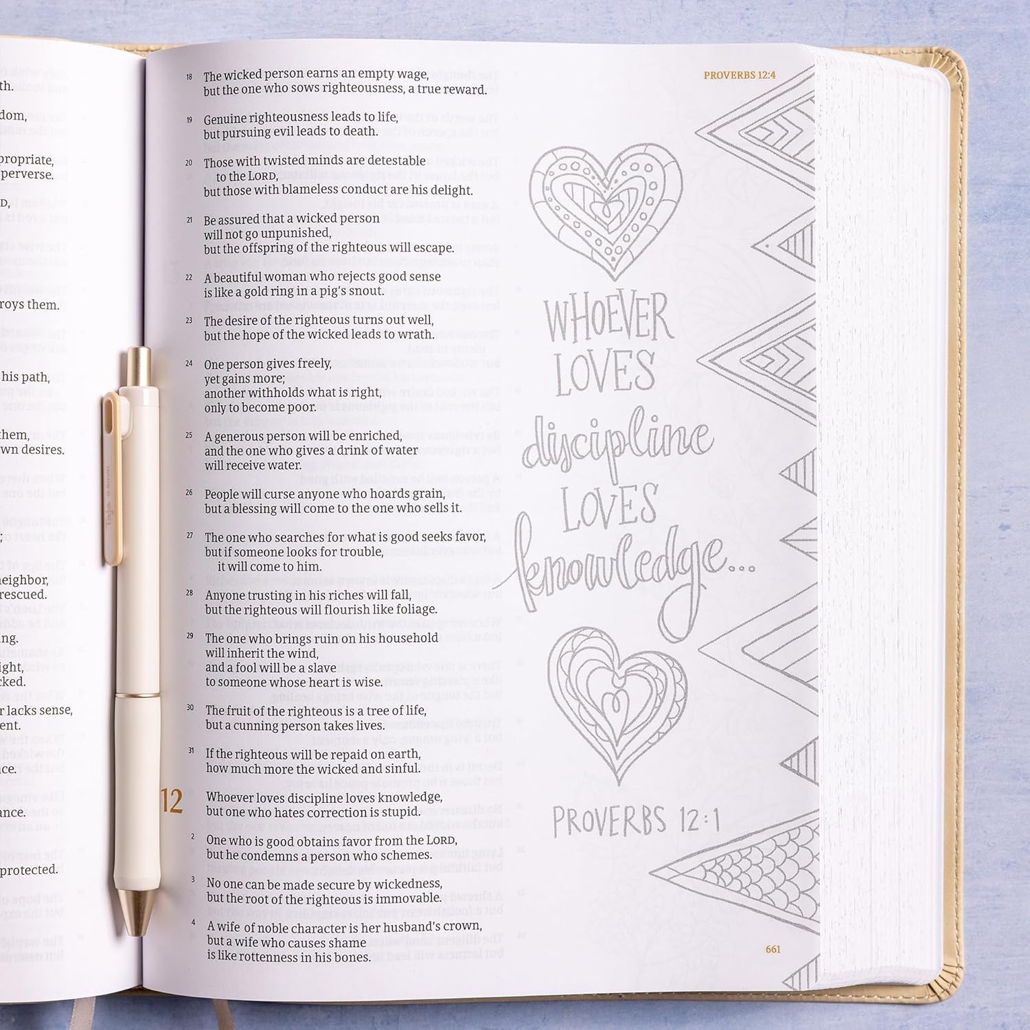 CSB Illustrator’s Notetaking Bible – Large Print, Luxurious LeatherTouch Cover