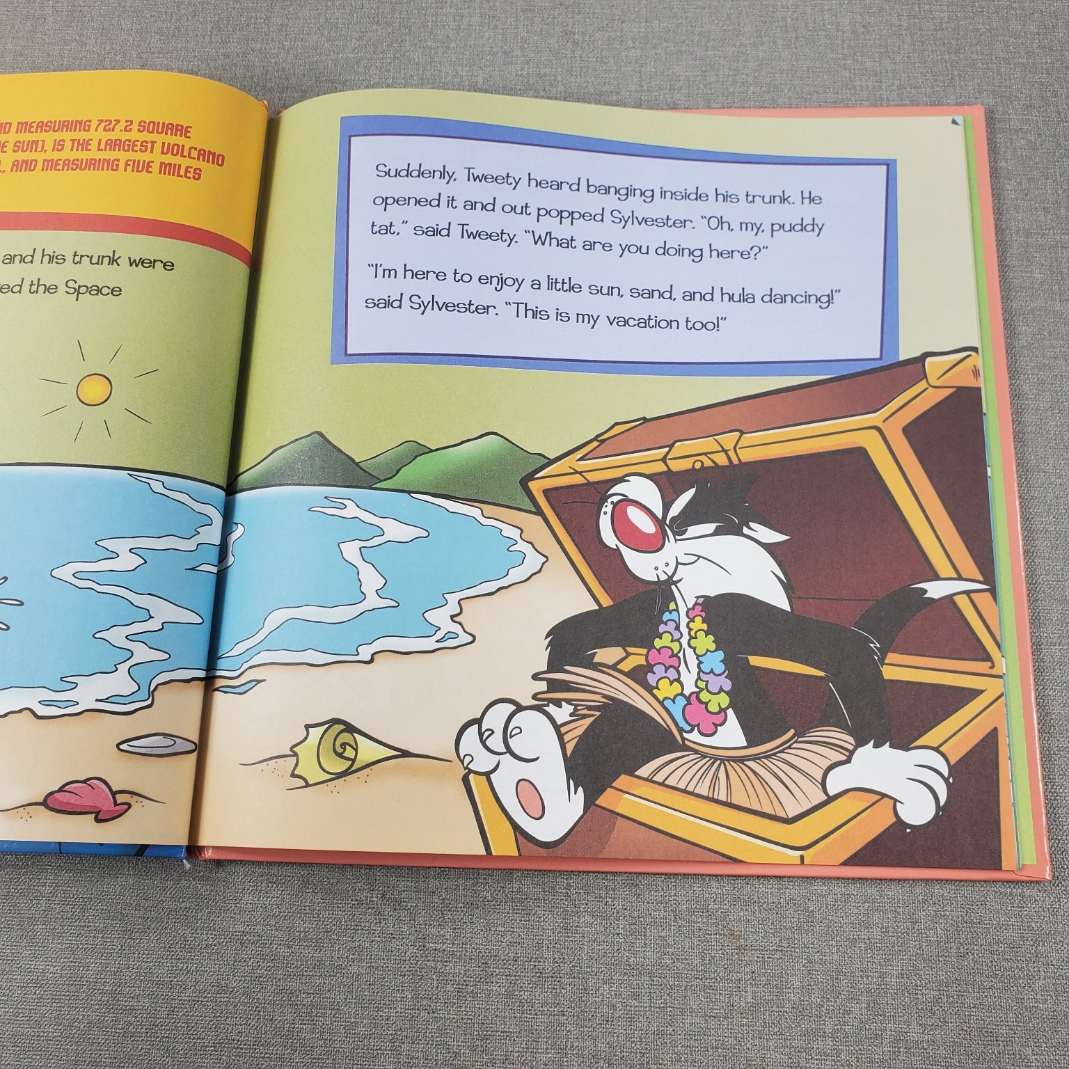 Surfer Cat Looney Tunes Storybook 2010 Vision St. Publishing Kids Book