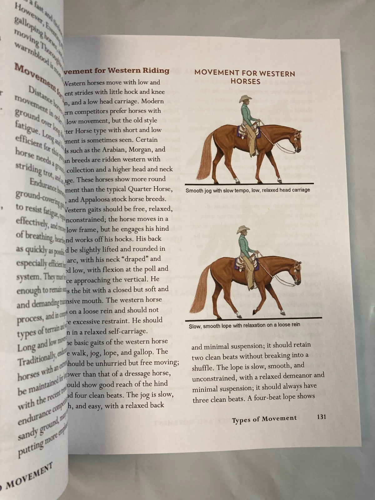 Horse Gaits, Balance, and Movement:…, Harris, Susan E LIKE NEW
