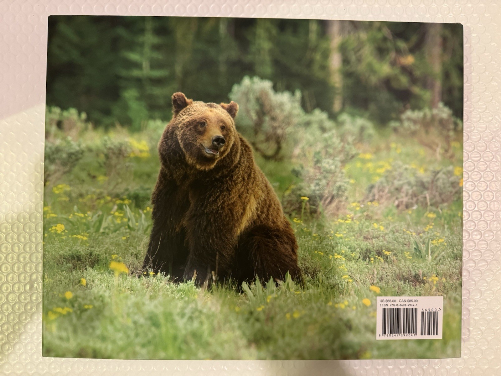 Grizzly 399: World’s Most Famous Mother Bear, The by Thomas D. Mangelsen HC .