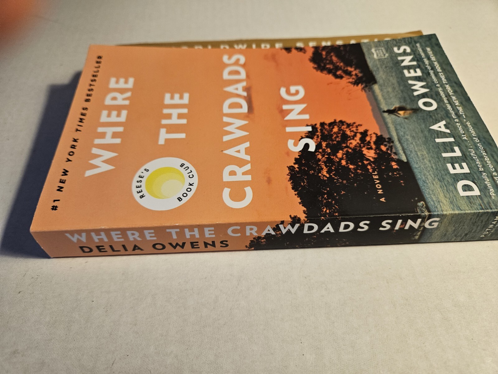 Where the Crawdads Sing – Paperback By Owens, Delia – VERY GOOD