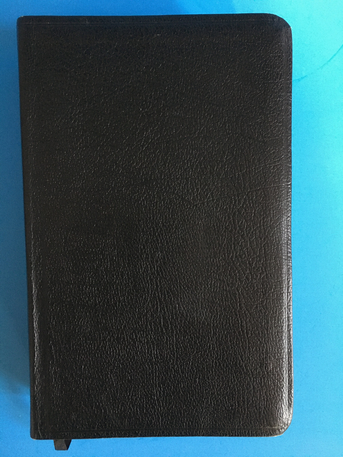 Life Application Study Bible International Version Tyndale 2005, Gilded Pages