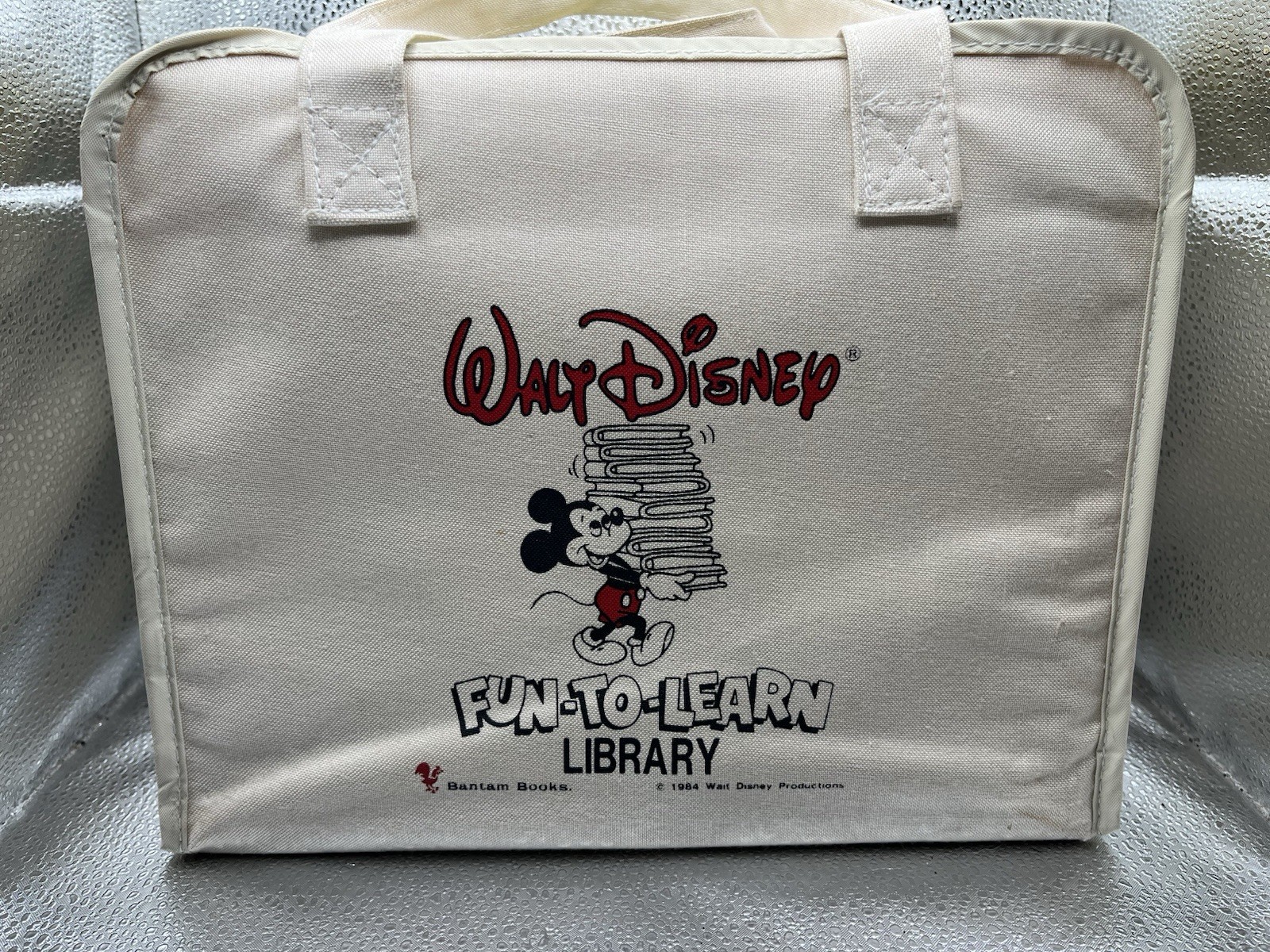 Walt Disney Fun-To-Learn Library 1-19 Complete Set Bantam Books Hardcover + Bag