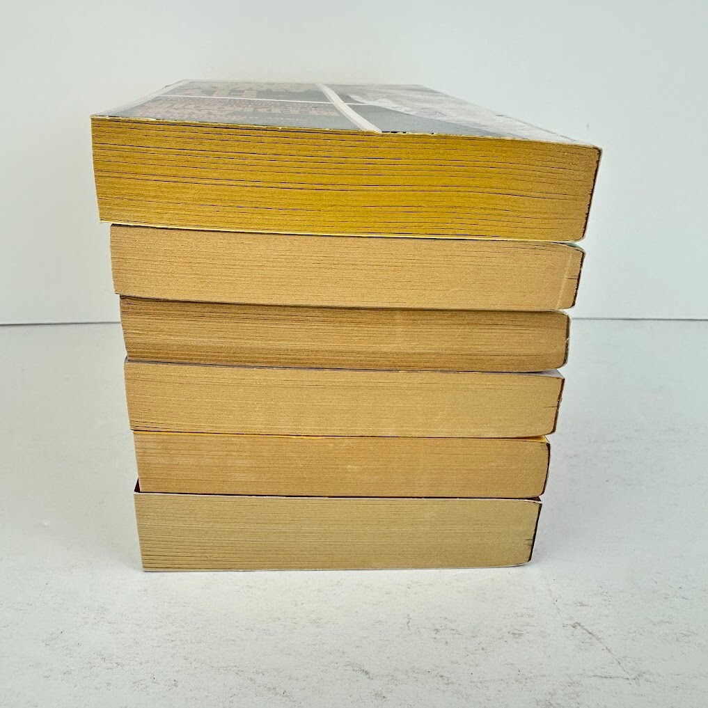 Lot of 6 Paperback Mystery Novels Multiple Titles & Authors