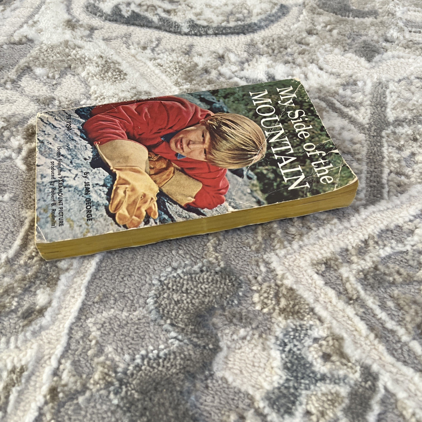 My Side of the Mountain by Jean George