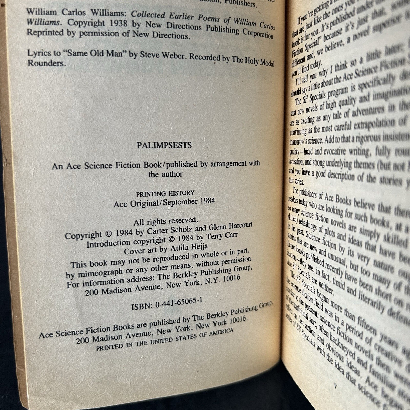 Palimpsests by Carter Scholz & Glenn Harcourt 1984 Ace SF Special 1st Printing