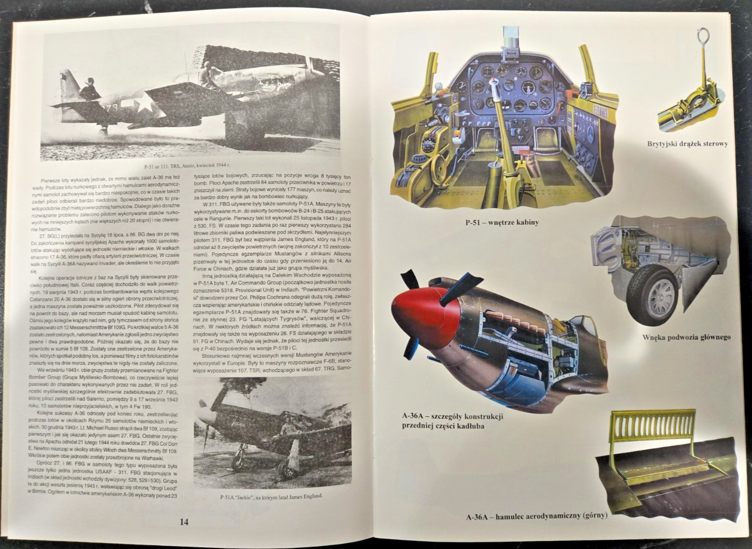 P-51 P-51A A-36 MUSTANG – Seria Pod Lupa #1 – Polish w/English Summary