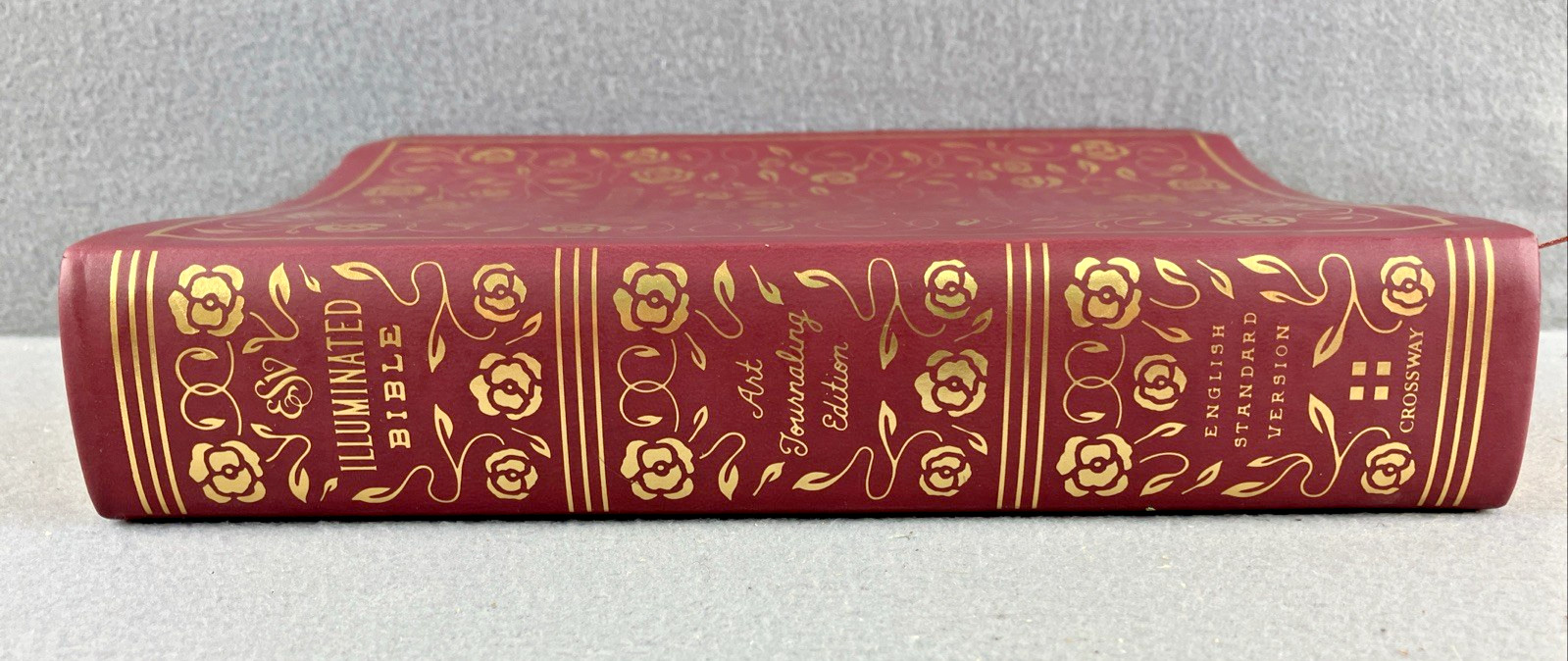 The Daily Grace Co Illuminated ESV Bible Art Journaling Softcover With Box