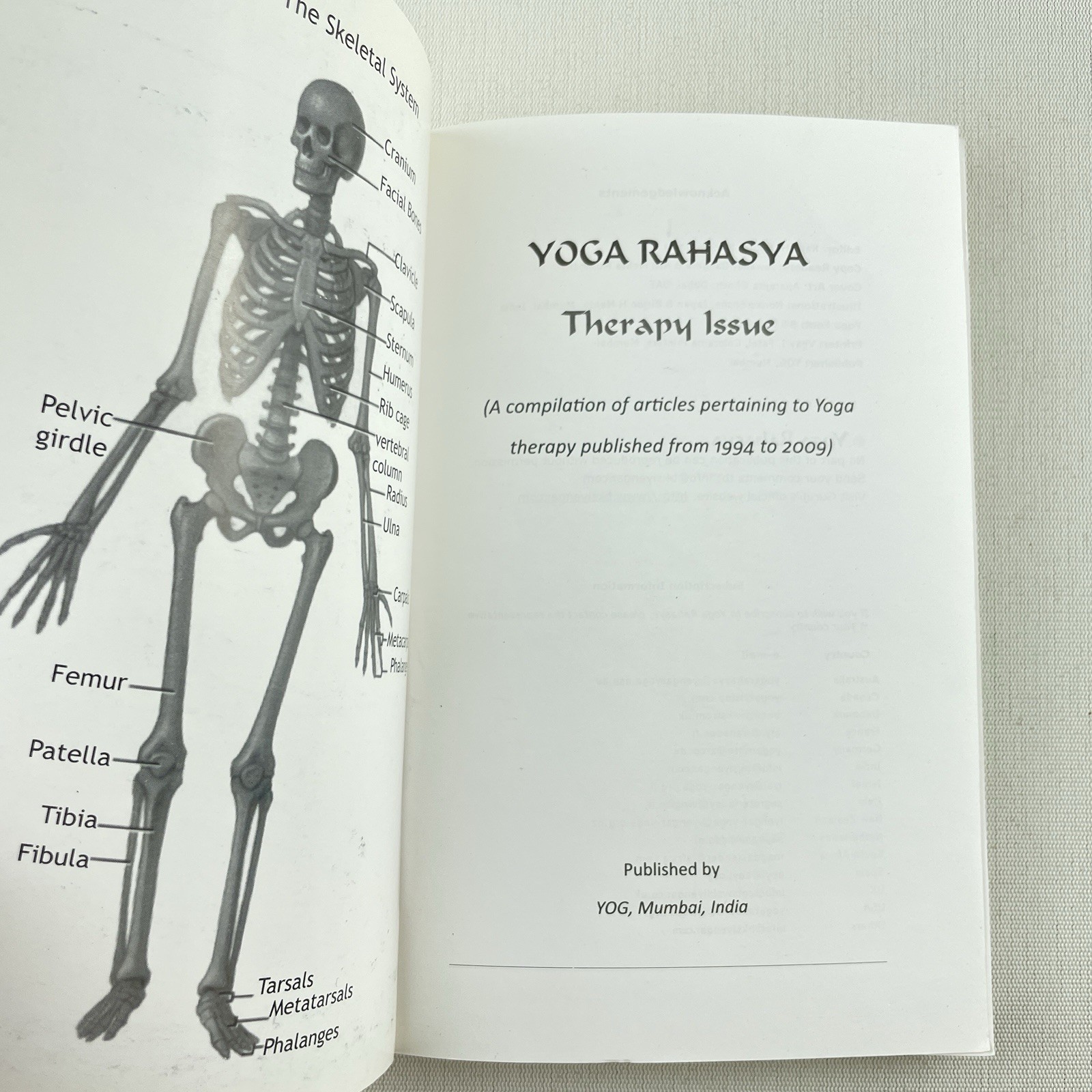 Yoga Rahasya Therapy Issue 1994-2009 Compilation BKS Iyengar Yoga PB Book