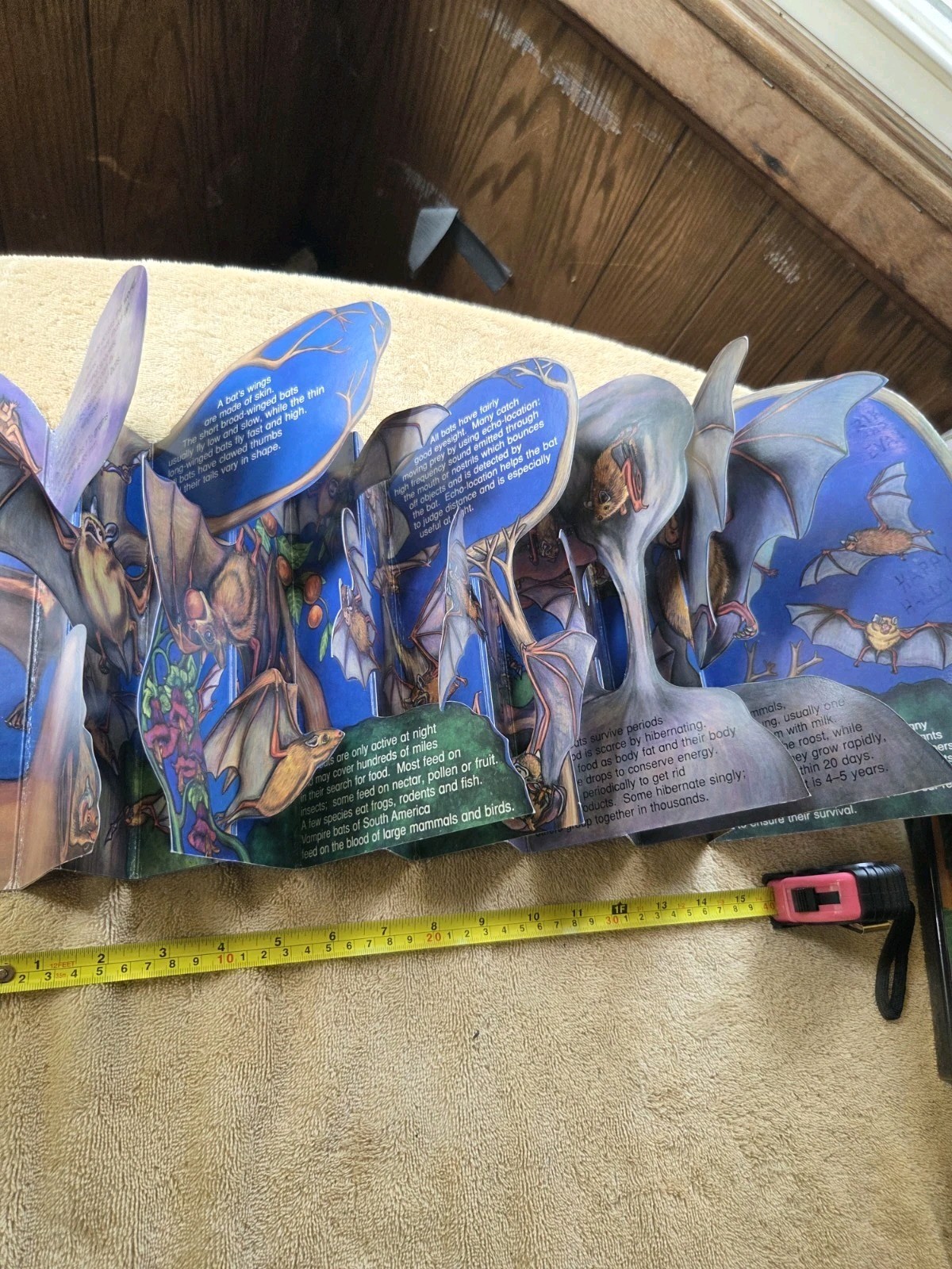 Misunderstood Bats Pop-Up Picture Book Ages 4-8 1995 Child’s Play Art L’H.