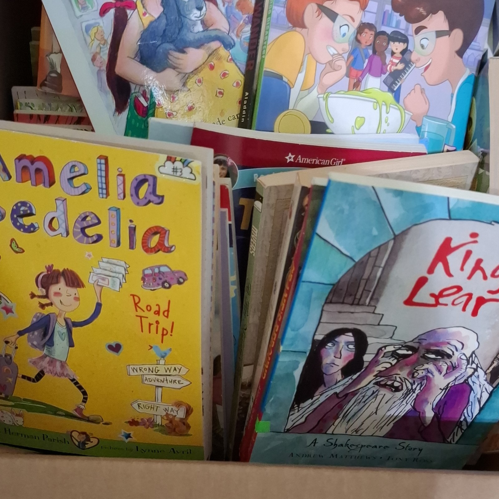Chapter Books Bundle kids young Instant library Paperback Lot of 25