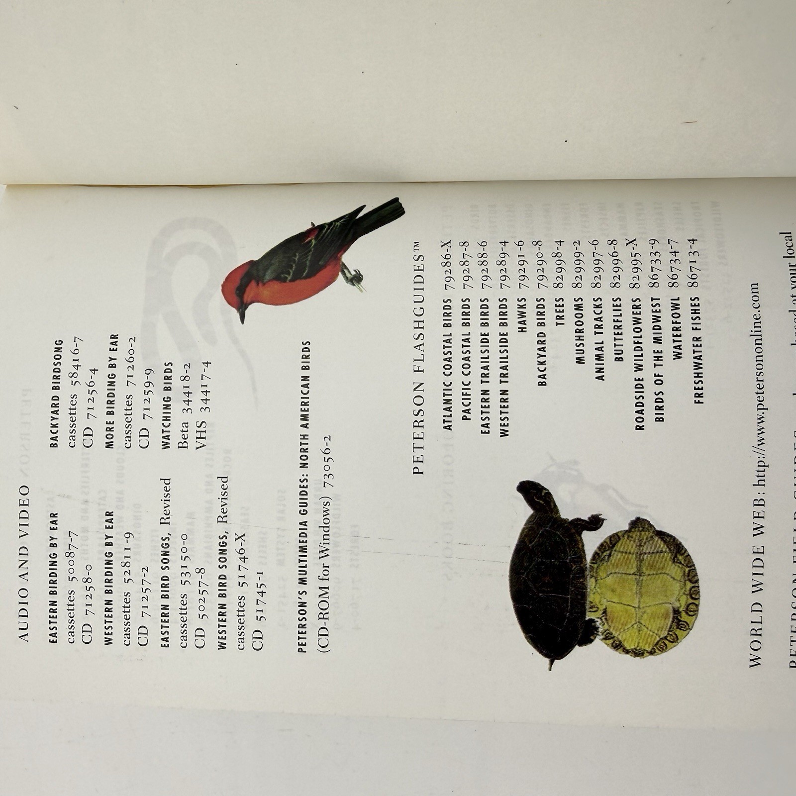Peterson Field Guide to Eastern Trees George A. Petrides Janet Wehr