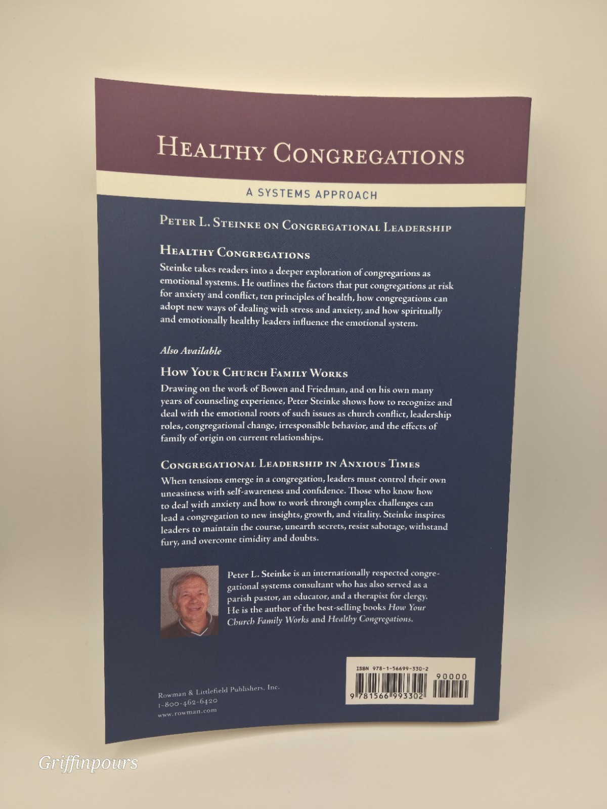 Peter L. Steinke Healthy Congregations (Paperback) (UK IMPORT)