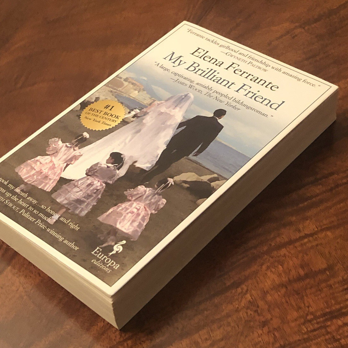 My Brilliant Friend by Elena Ferrante Paperback. Excellent Like New Condition