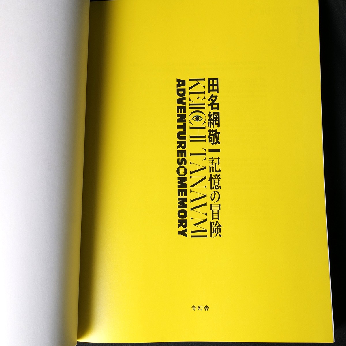 Keiichi Tanaami Adventures in Memory 2024 Exhibition Catalog Art Book