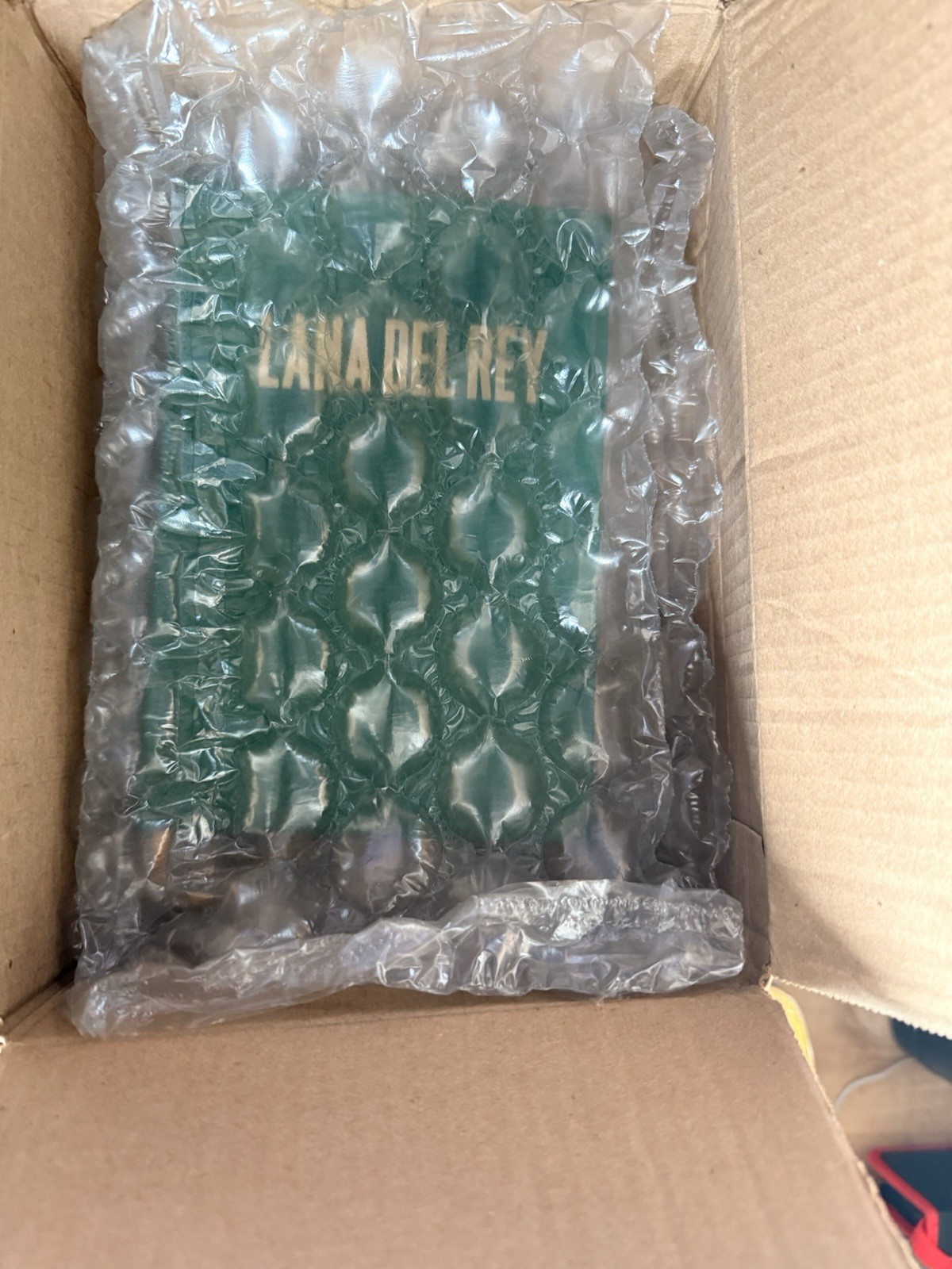 LANA DEL REY Green Hardcover Book – Format: Hardcover, Color: Green