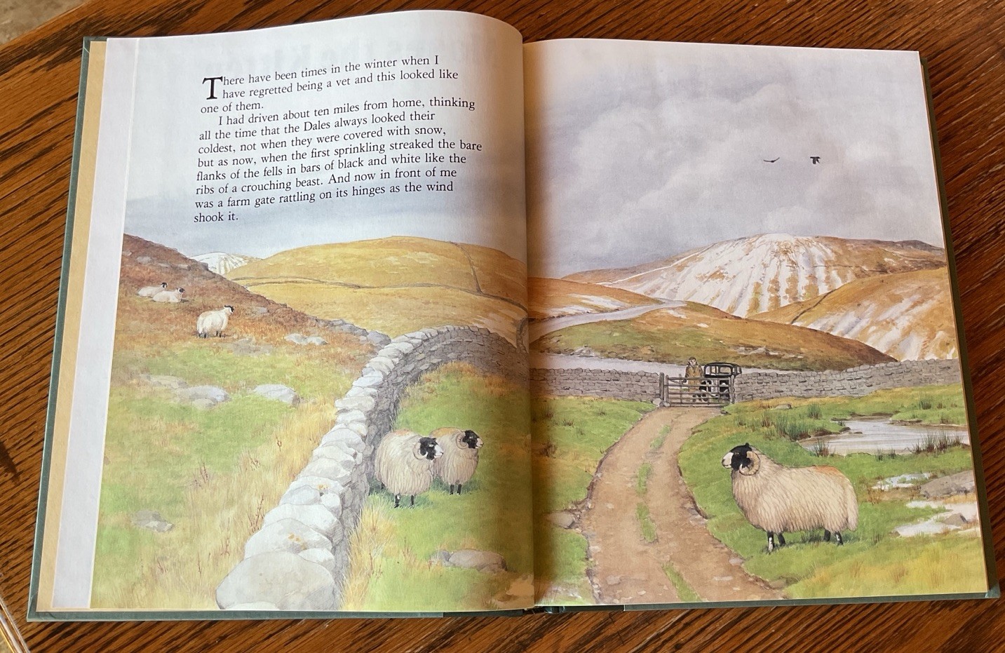 James Herriot’s Treasury For Children Book Vintage FIRST EDITION 1992 Hardcover