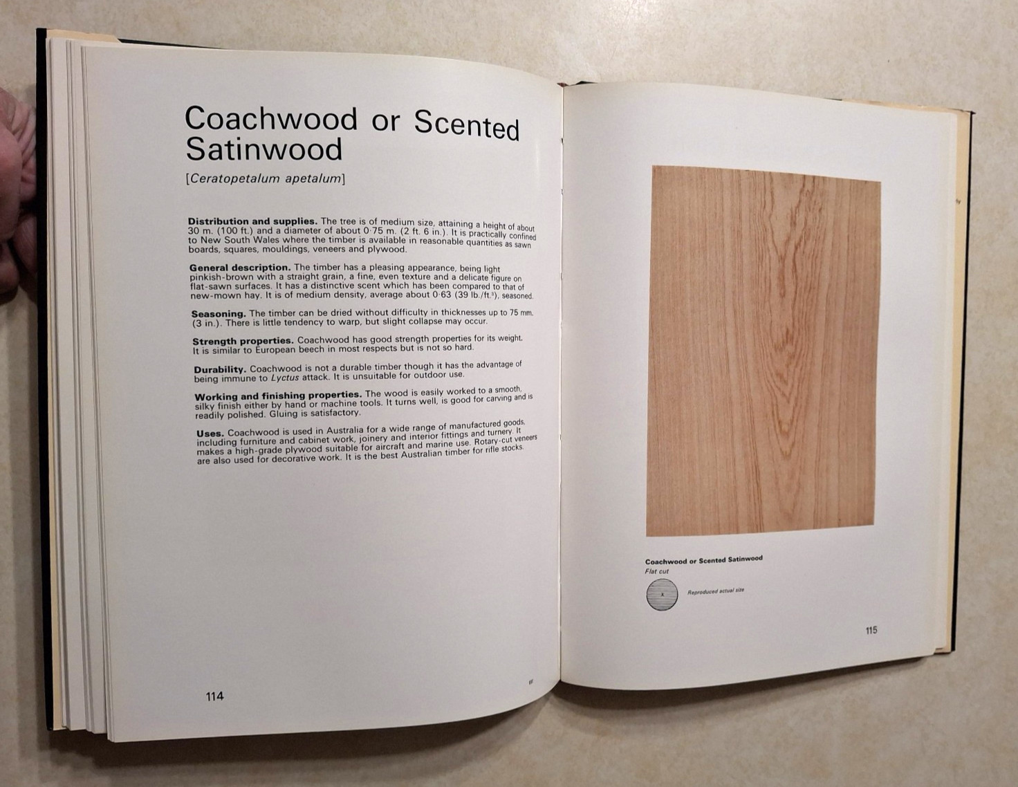 World Timbers B.J. Rendle Complete 3 Volume Set Wood Woodworking Reference Books