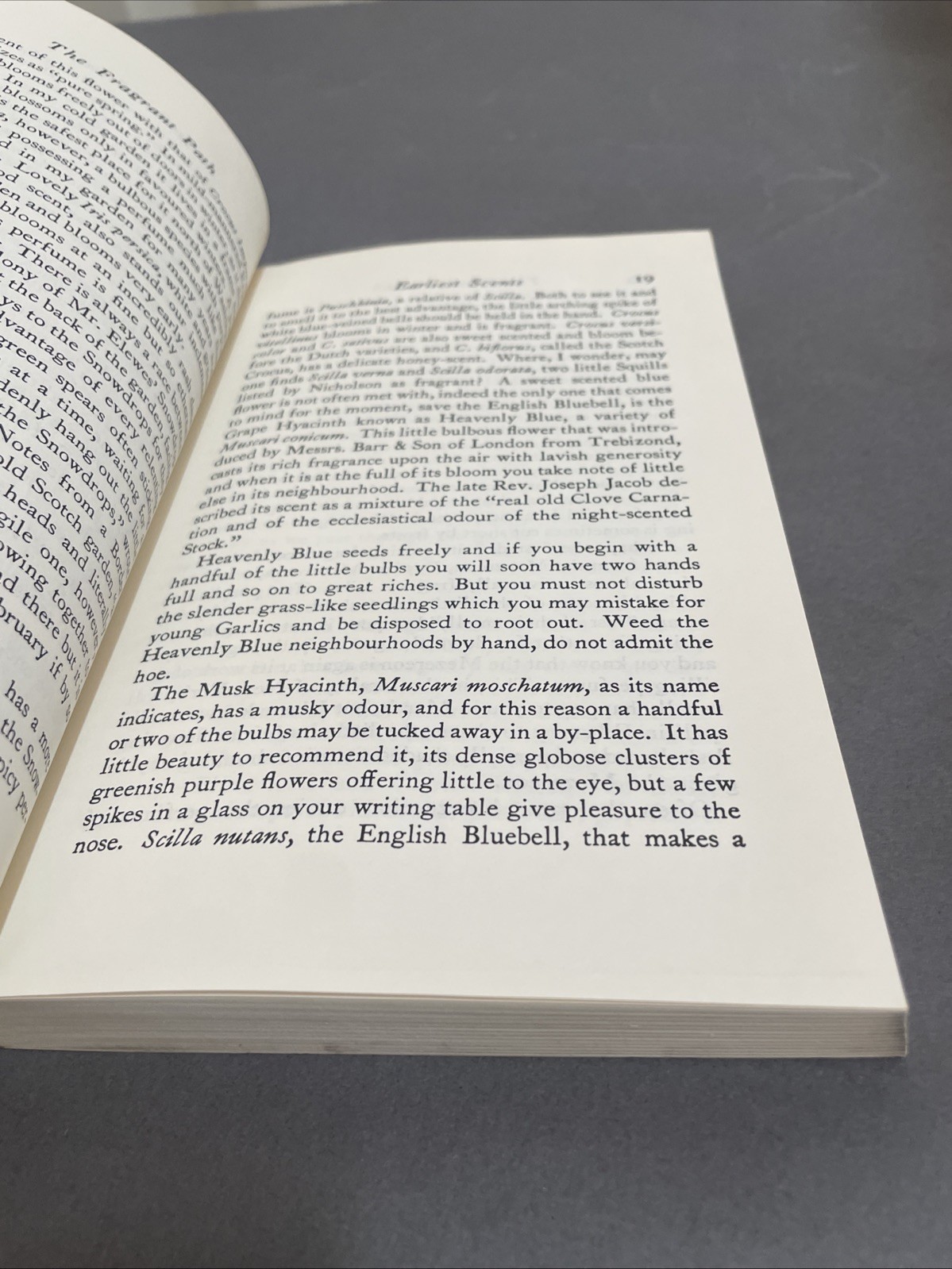 The Fragrant Garden,Louise Beebe Wilder Pb Dover 1974