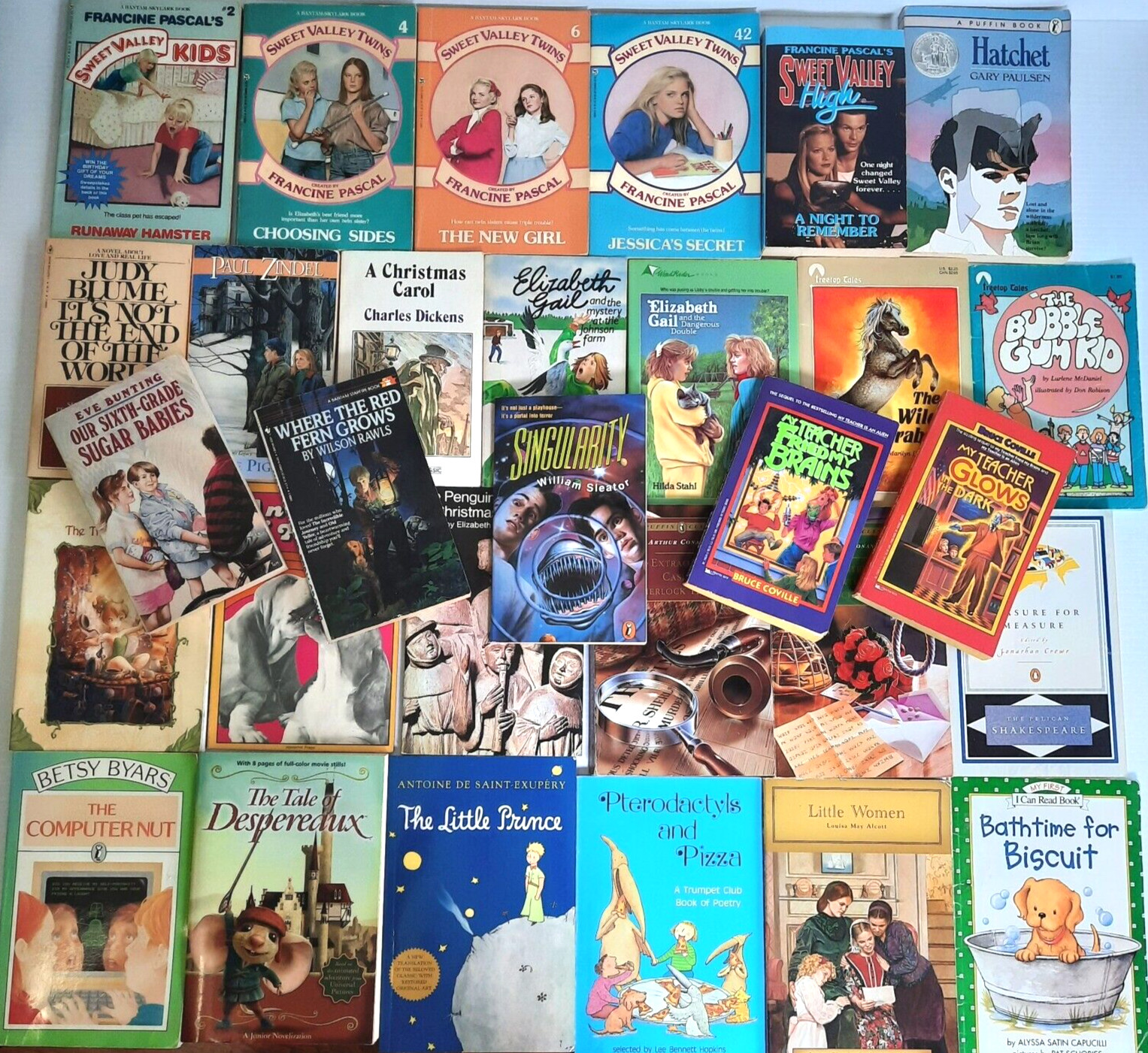 Children’s Paperbacks Huge Lot of 46 Mostly 1980s Sweet Valley Little Bear