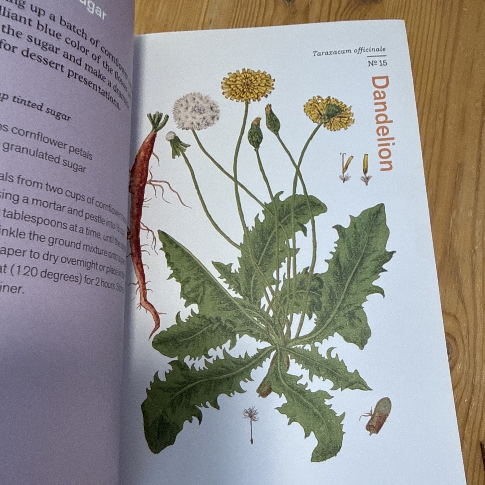 Herbal Handbook by New York Botanical Garden (Illustrated)