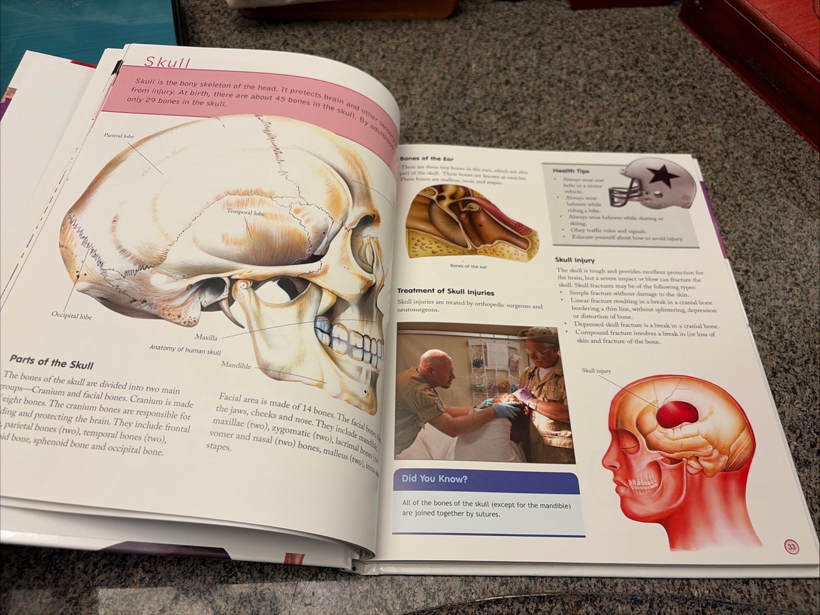Children’s Encyclopedia Of Human Body