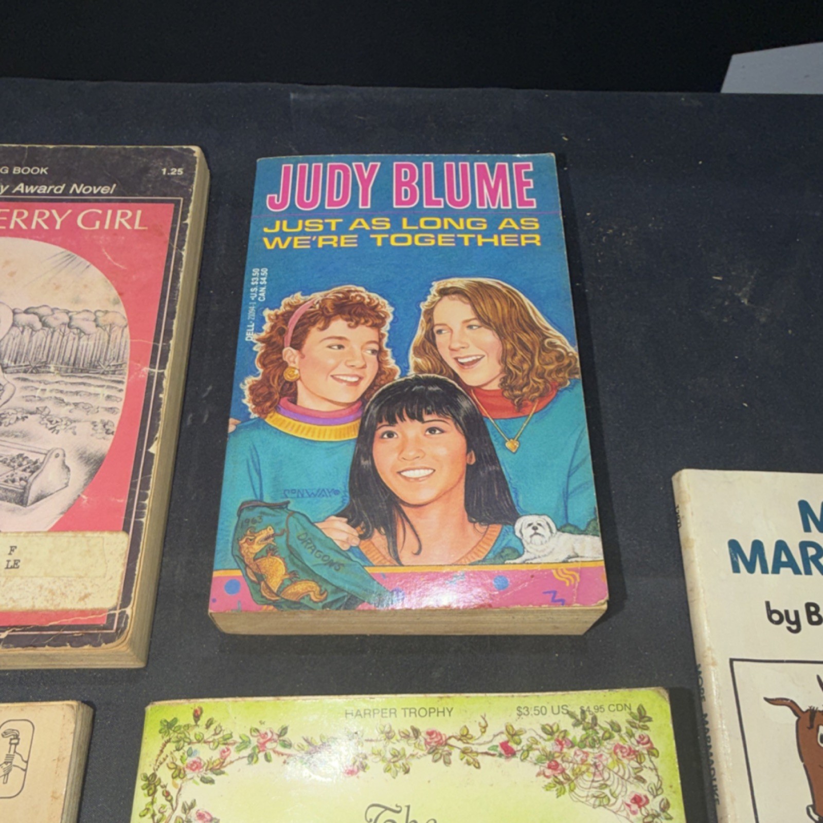 Vintage Children’s Fiction Paperback Lot – Lenski, Blume, White, Burnett, 5 Boo…