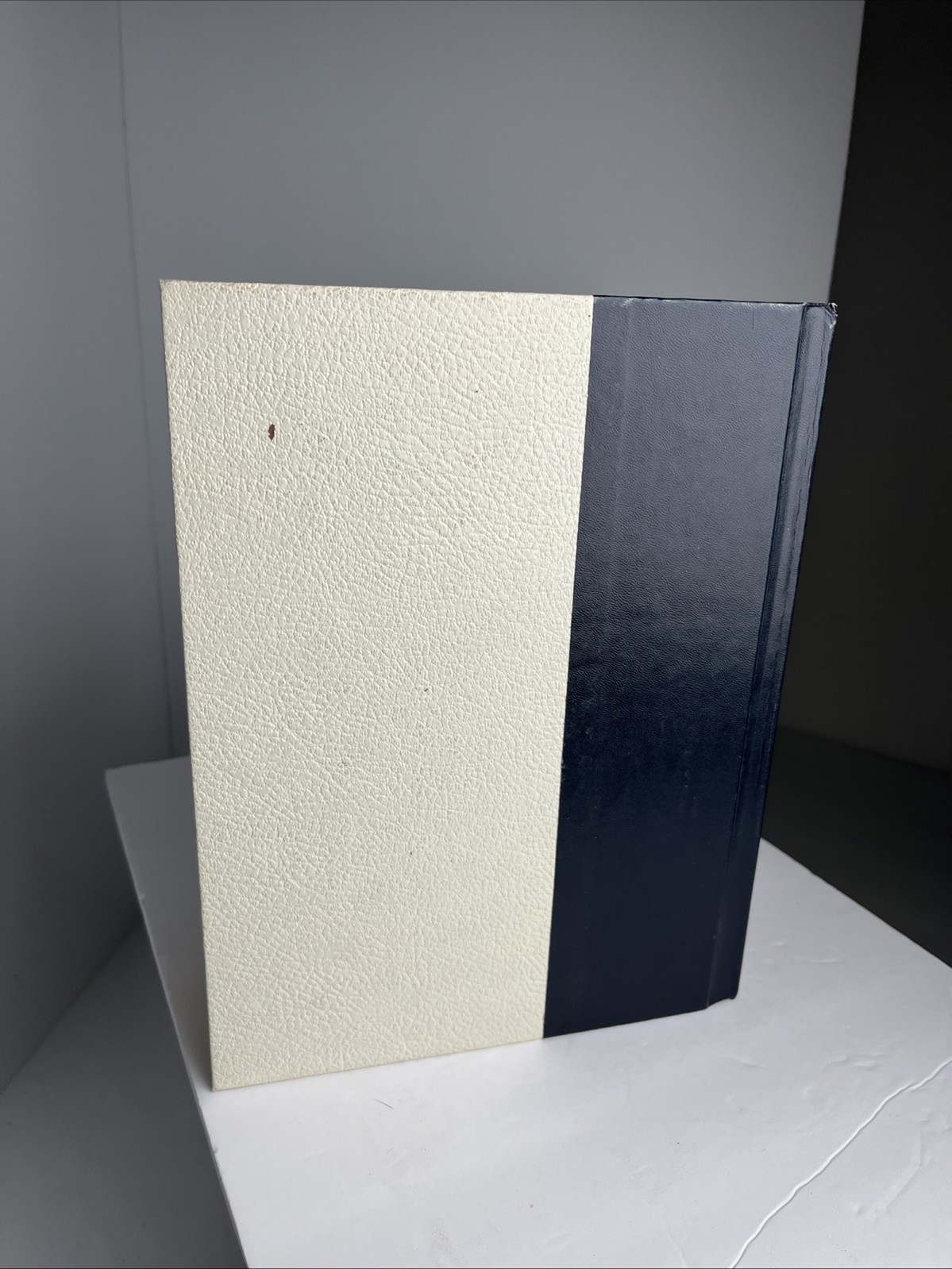 WEBSTER’S Encyclopedia of Dictionaries New American Edition 1981 Large Type VTG