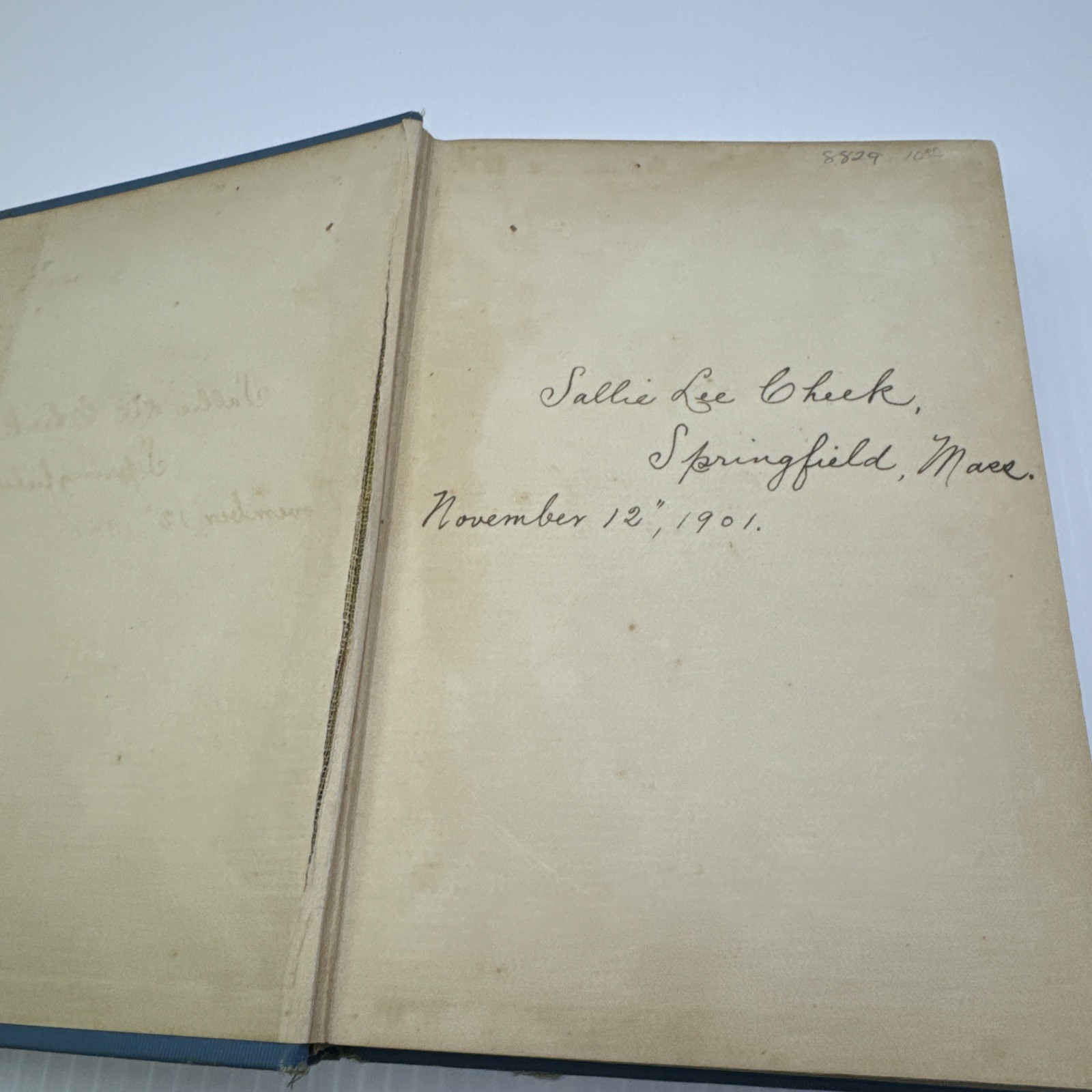 Blennerhassett Decrees of Fate Romance Charles Felton Pidgin 1901 Antique Novel