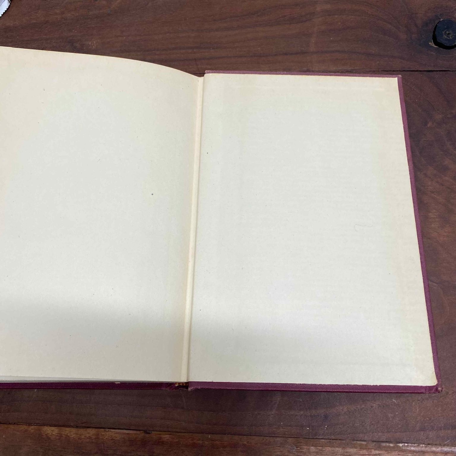 Brave Nurse Ellsworth Newcomb 1945 Illustrated True Stories D. Appleton