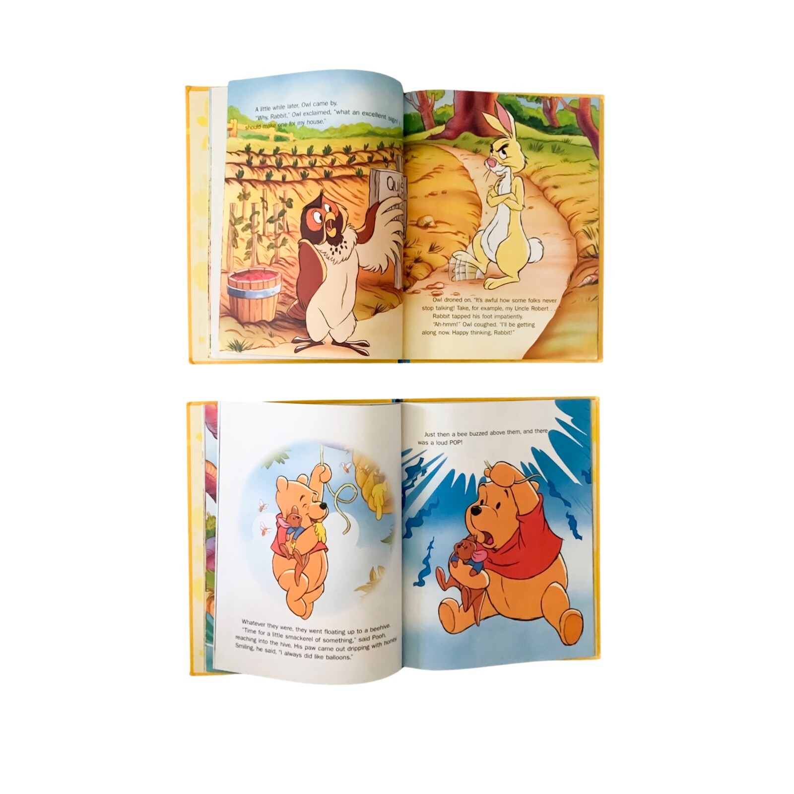 Disney’s“ Out & About With Pooh“ There’s No Place Like Home, Rabbit’s Ears x 2